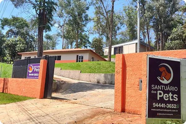 Funerária de animais em São Paulo