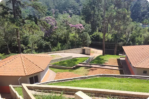 Funerária de animais em São Paulo